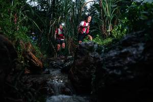 BIB: 
                            <button type="button" onclick="openModal(26204426)" class="btn btn-primary btn-sm float-right btn-popup" data-toggle="modal" data-target=".modal-high-quality">
                        <i class="fas fa-shopping-cart"></i> Add to Cart
                    </button>
                                            <button type="button" onclick="isThisMe(26204426, true)" class="btn btn-success btn-sm float-right btn-popup btn-isme hidden" data-toggle="tooltip" data-placement="bottom" title="นี่คือรูปของคุณใช่ไหม คลิกที่นี่เพื่อเอาเข้าอัลบั้ม">
                        <i class="fas fa-plus"></i> Add to album
                    </button>
                    <button type="button" onclick="isThisMe(26204426, false)" class="btn btn-warning btn-sm float-right btn-popup btn-isnotme hidden">
                        <i class="fas fa-ban"></i> Remove from album
                    </button>